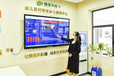 數(shù)字賦能淇濱 網(wǎng)絡技術(shù)服務驅(qū)動鄉(xiāng)村振興新篇章